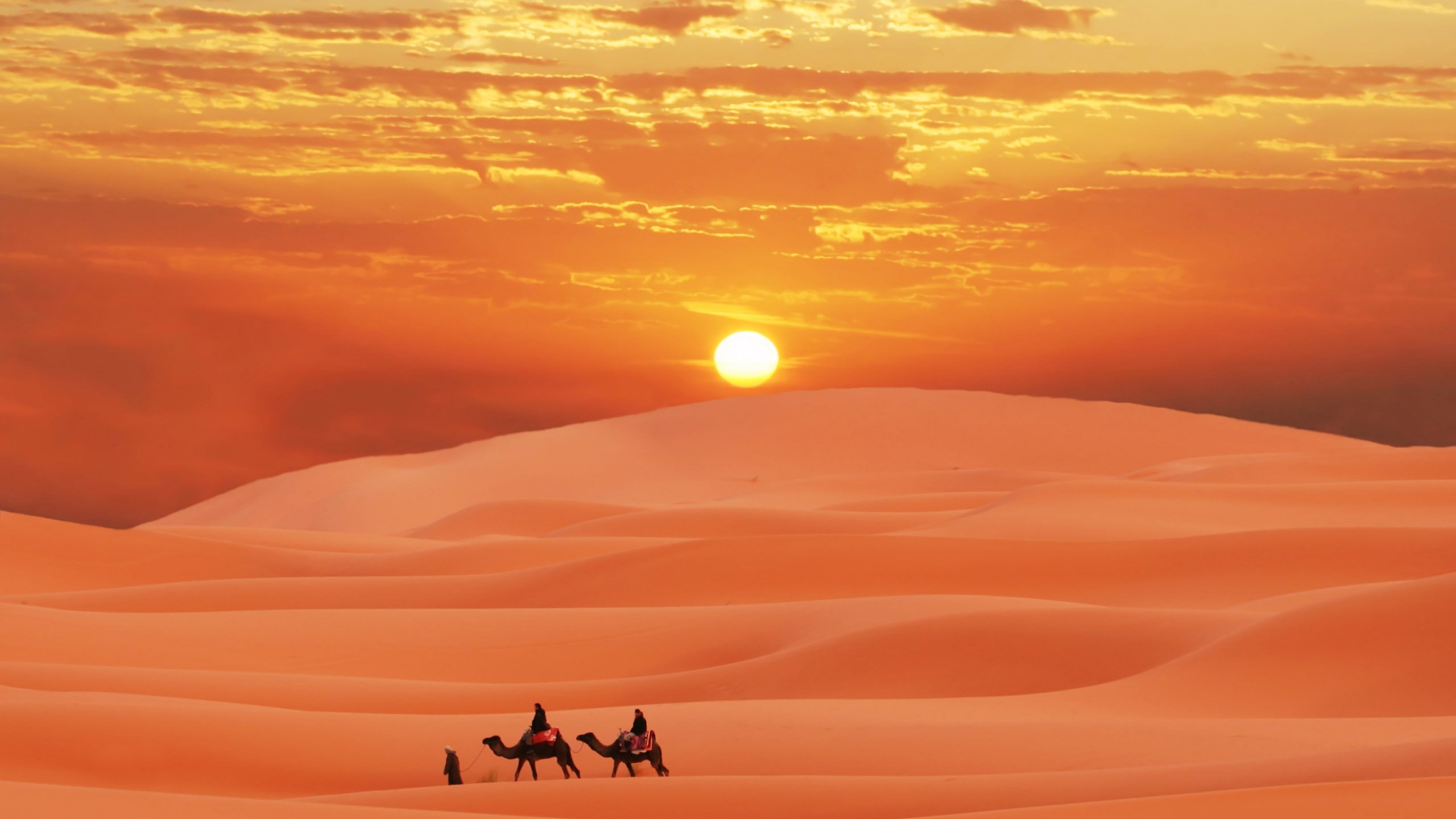 Sahara Adventure Tours