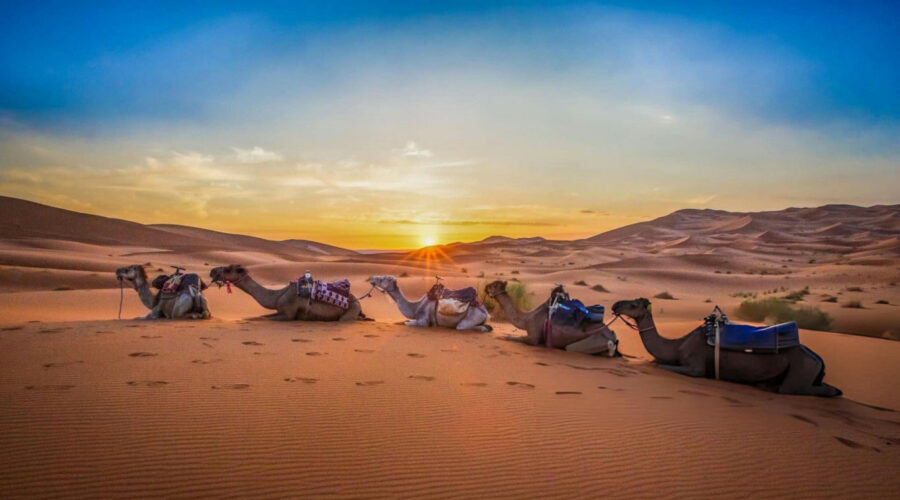 Discovering the Magic of the Sahara Desert in Morocco Discovering the Magic of the Sahara Desert in Morocco