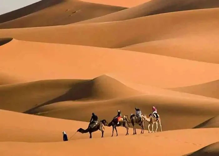 2 Days Trip From Marrakech to the Desert
