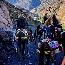 Combined Mule Riding and Hiking Day trip in Atlas Mountains