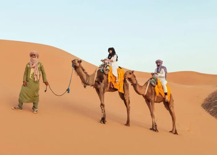 8 Days Morocco Tour from Casablanca to Sahara Desert Fes and Marrakech